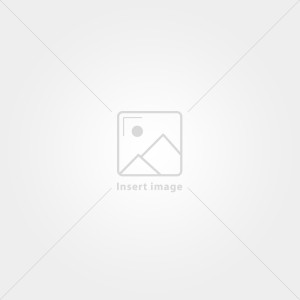 placeholder_1